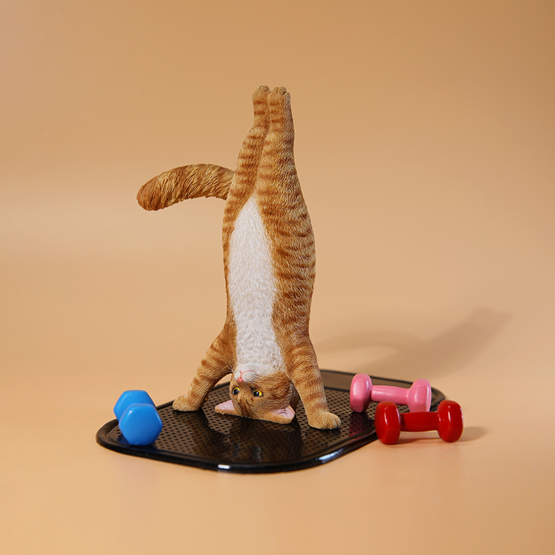 1/6 Scale Mini Simulated Fitne - Yoga Fitness First ulasan dan harga